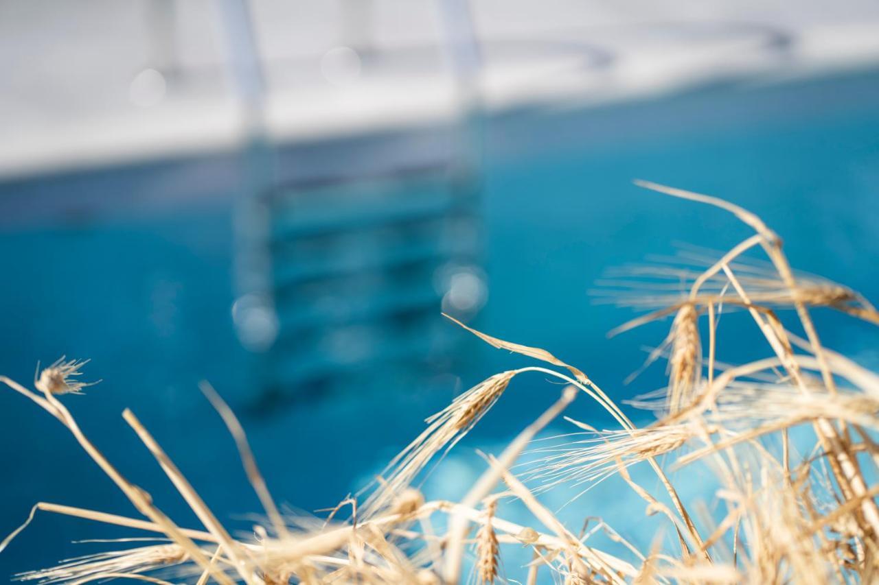 Santa Marina Syros Villa Liaropá Eksteriør billede